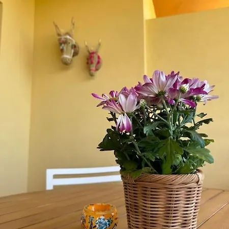 Luxe Zee- En Bergappartement El Faro